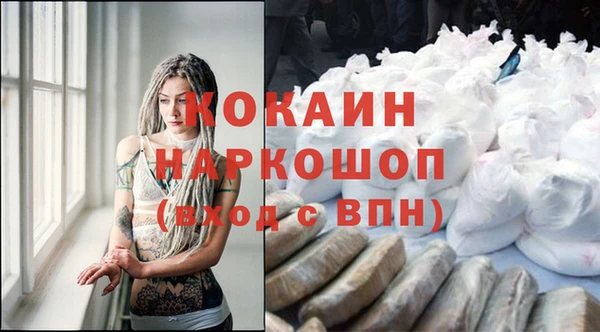сатива Верхний Тагил